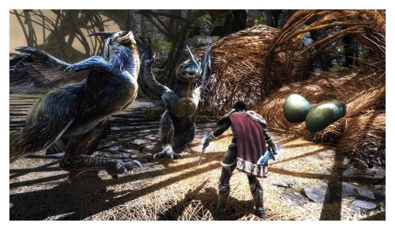 Kingdoms of Amalur Re-Reckoning (Nintendo Switch) 