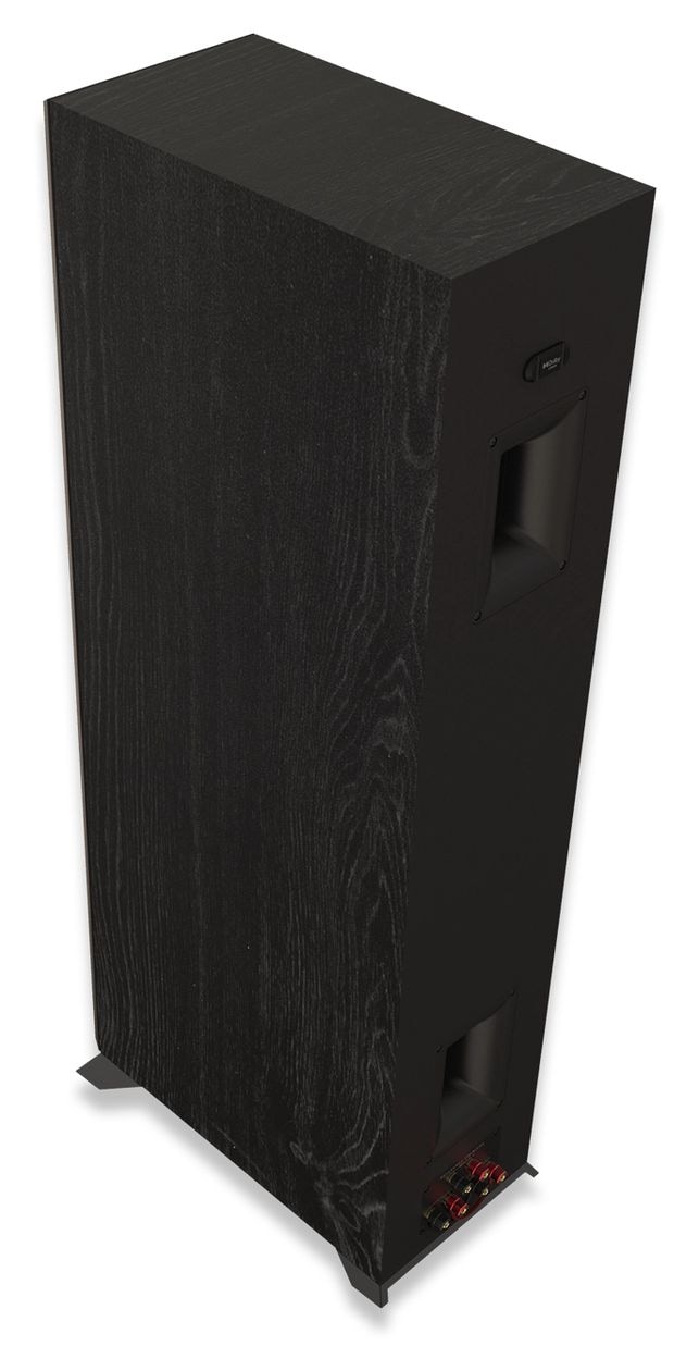 RP-6000F II 125 W Lautsprecher  (Schwarz) 