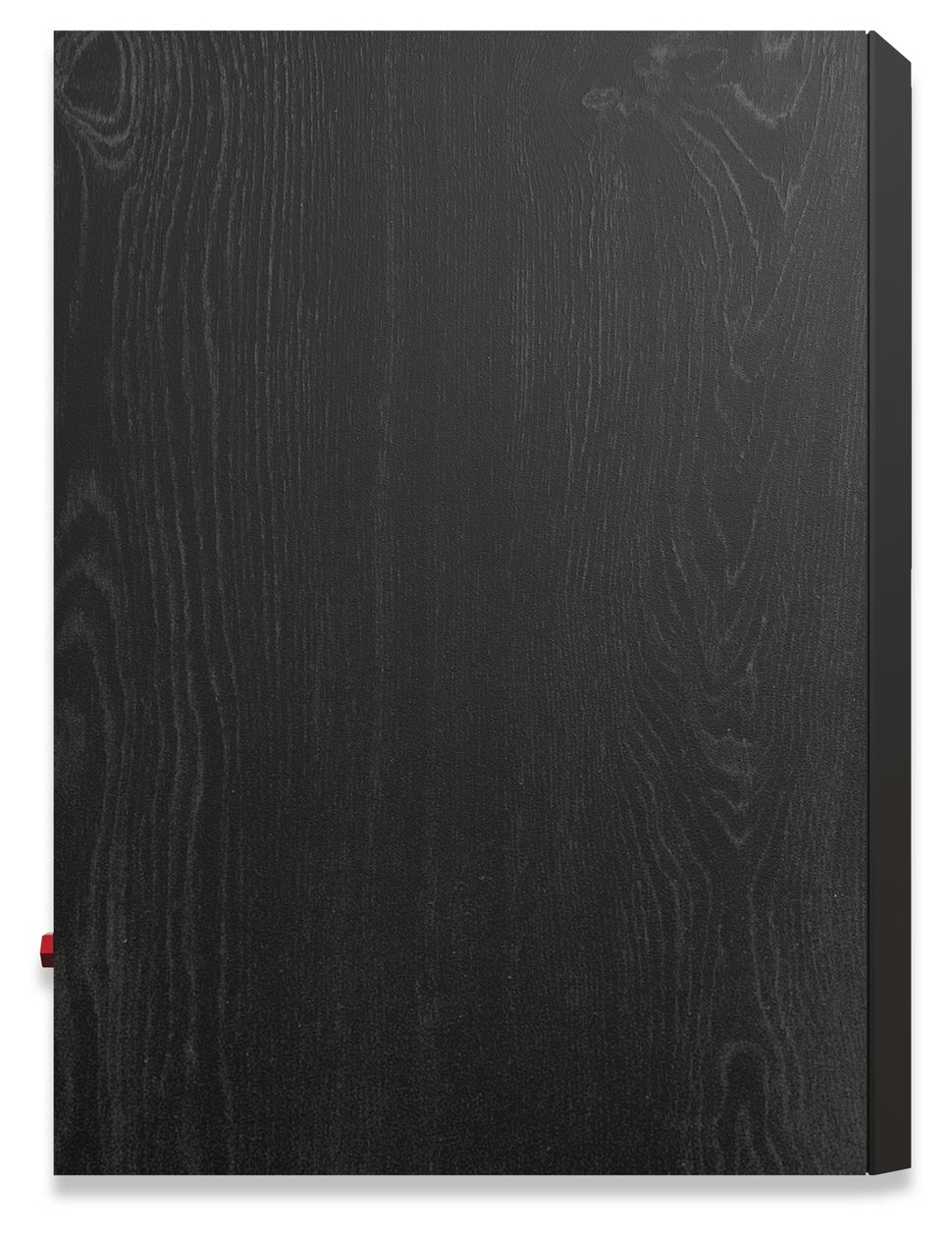 RP-600M II 100 W 2-Wege Lautsprecher  (Schwarz) 