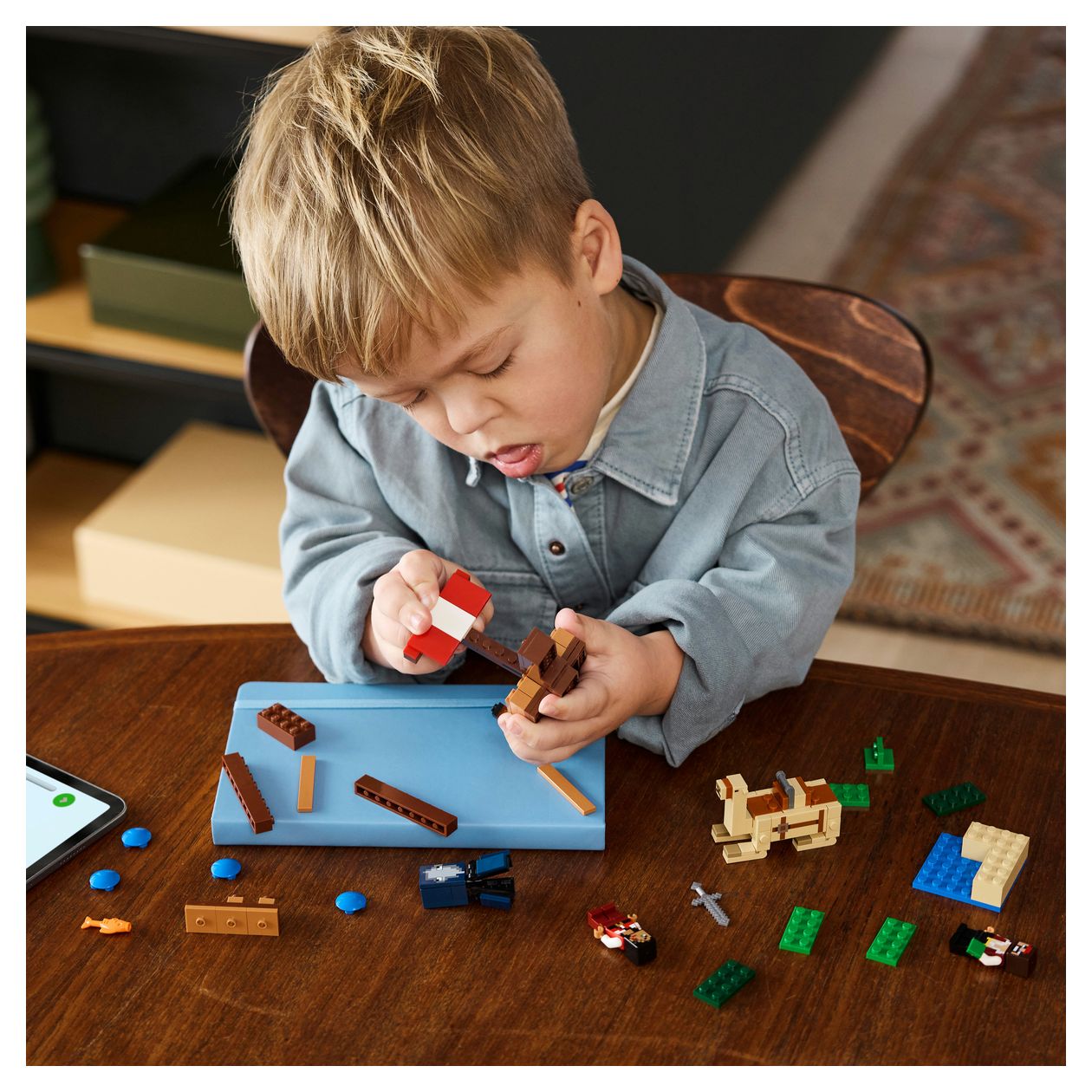 Die Piratenschiffreise 