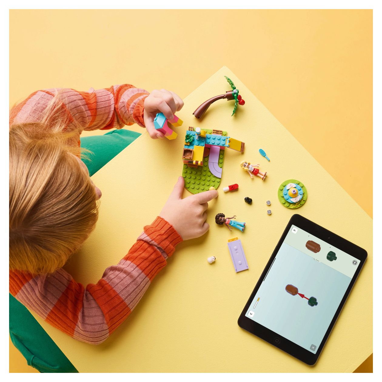 Meerschweinchen Spielplatz 