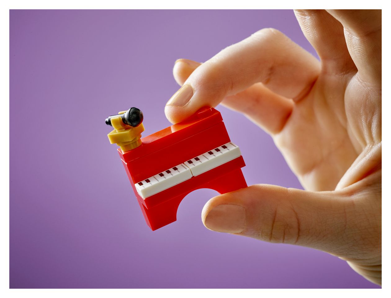 Musikladen & Wohnung 