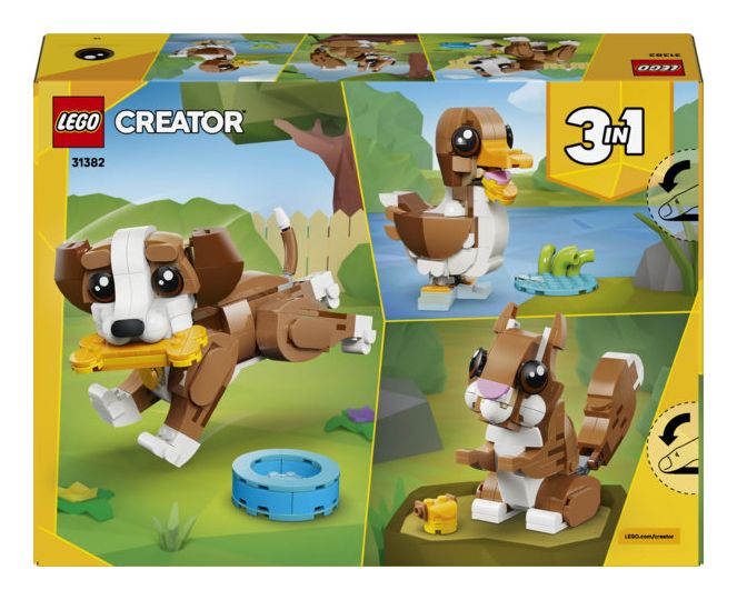 Niedliche Tiere: Verspielter Welpe 