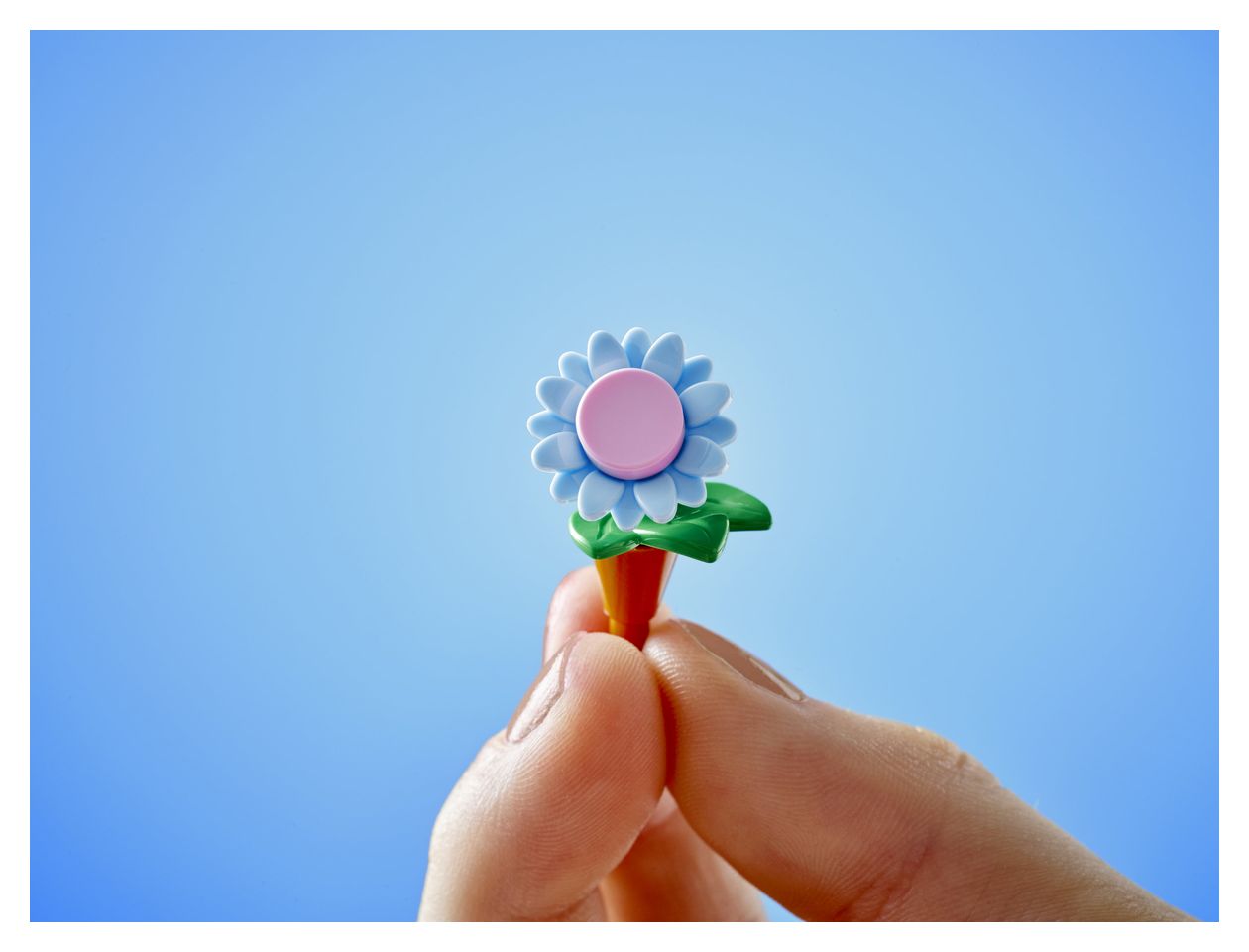 Pflanzencafé und Blumenkiosk 