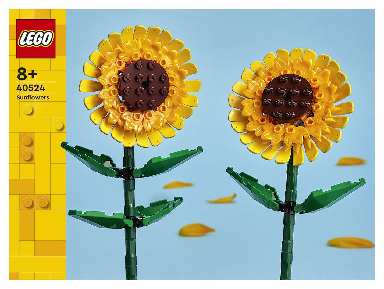 Sonnenblumen 