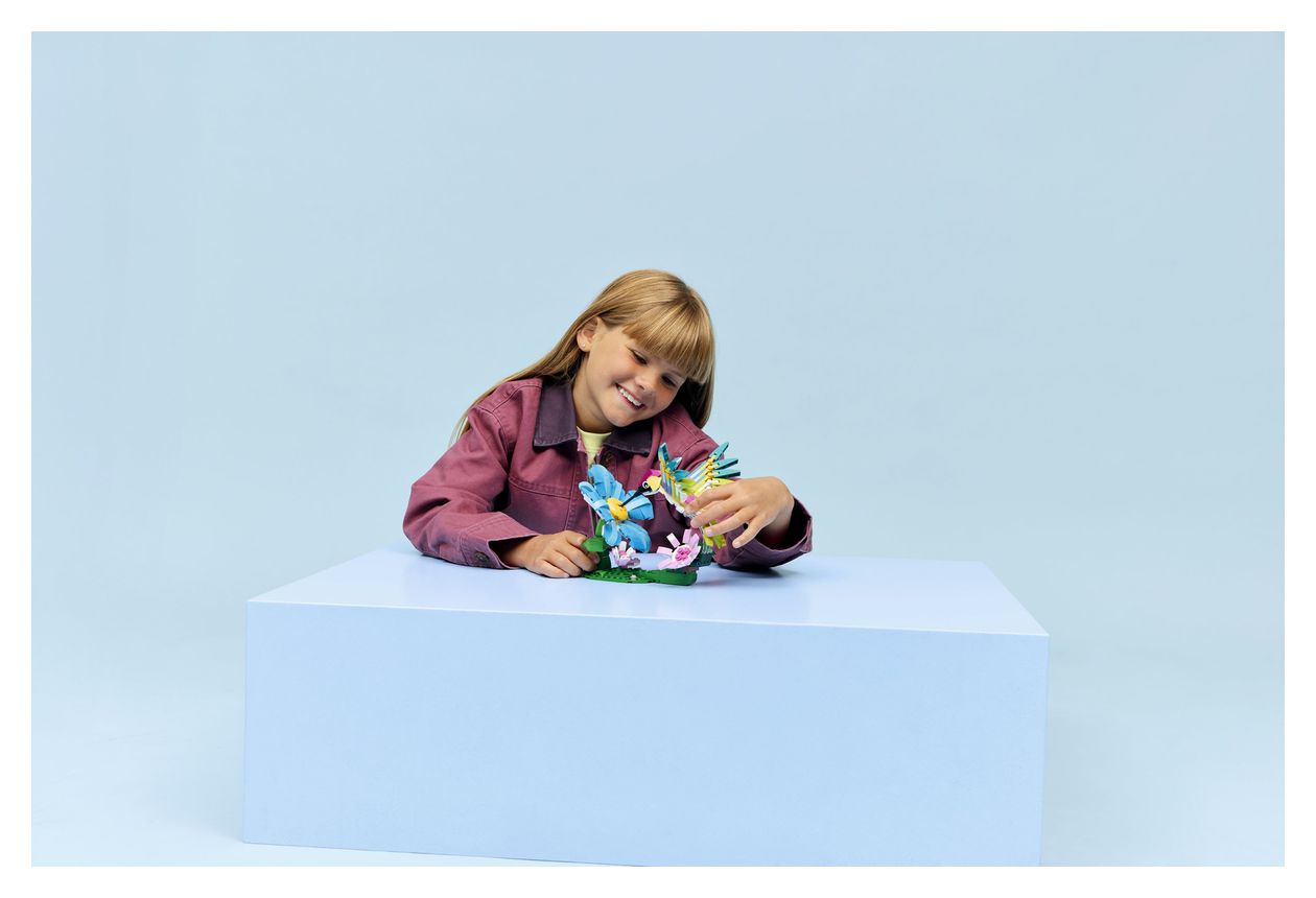 Wilde Tiere: Bunter Kolibri 