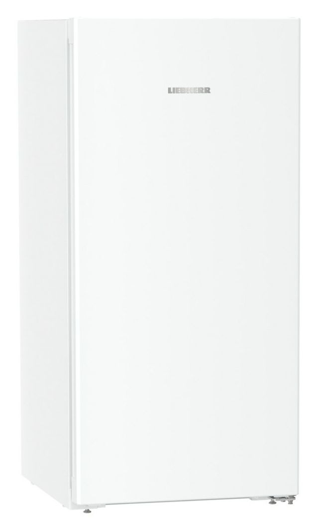 Rd4200-22 247 l / 247 l Kühlschrank freistehend EEK: D 84 kWh Jahr  (Weiß) 