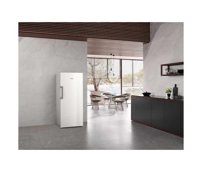 FN4748D 311 l Gefrierschrank 208,1 kWh Jahr NoFrost  (Weiß) 