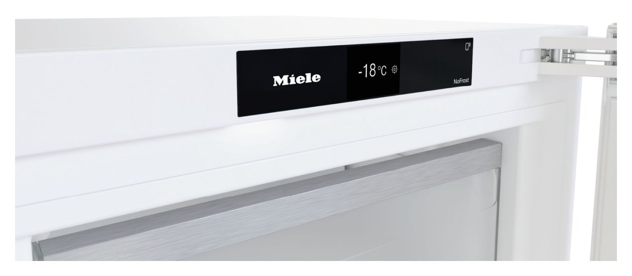 FN4812D 161 l Gefrierschrank 166 kWh Jahr NoFrost  (Weiß) 