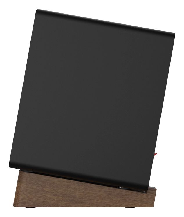 GX-10DB 30 W Bluetooth Lautsprecher  (Schwarz) 