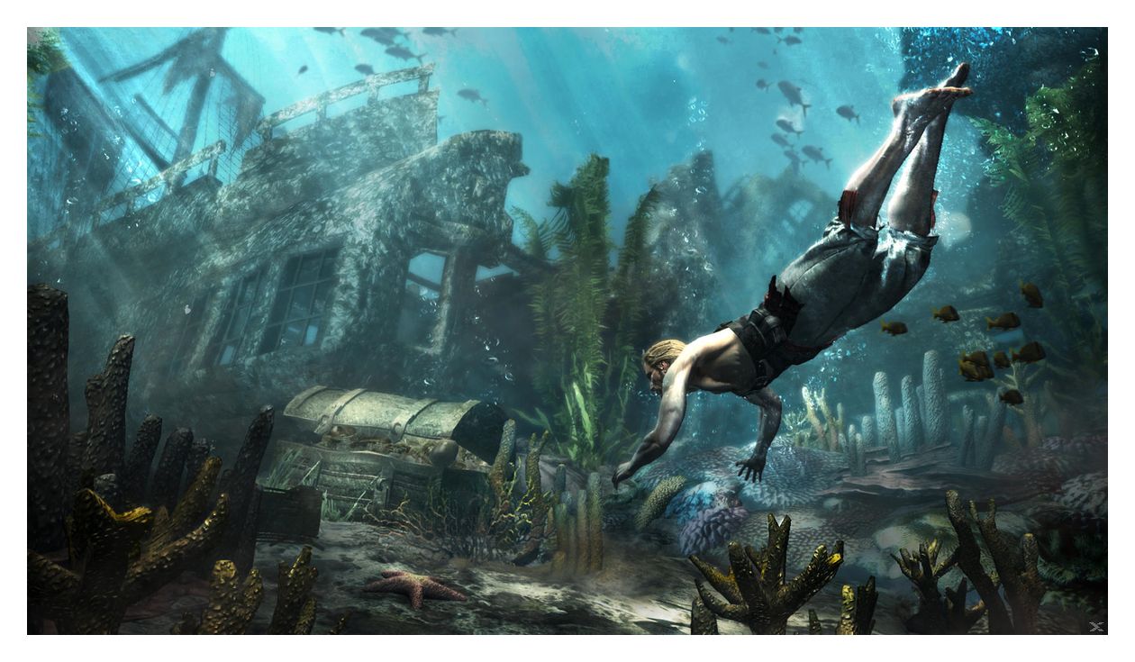 PlayStation Hits: Assassin's Creed IV - Black Flag (PlayStation 4) 