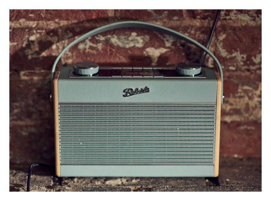 Rambler Max Bluetooth DAB, DAB+, FM Radio Tragbar  (Grün) 