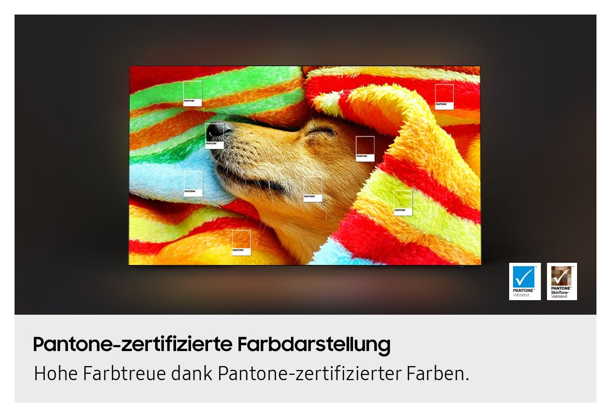 GQ83S85FAEXZG OLED 2,11 m (83 Zoll) Fernseher 4K Ultra HD VESA 400 x 300 mm 