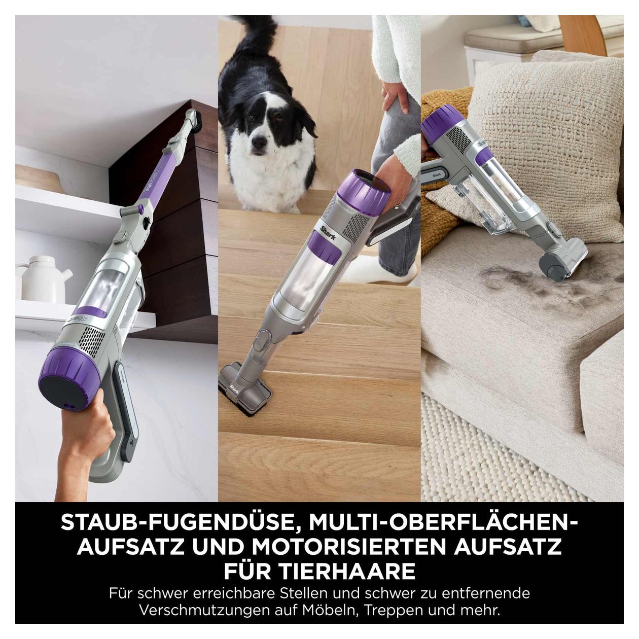 IP1251EUT PowerDetect Handstaubsauger Beutellos bis 70 min Laufzeit  (Grau, Violett) 