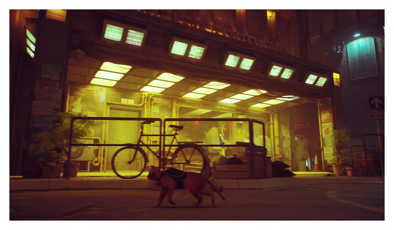 Stray (Nintendo Switch) 