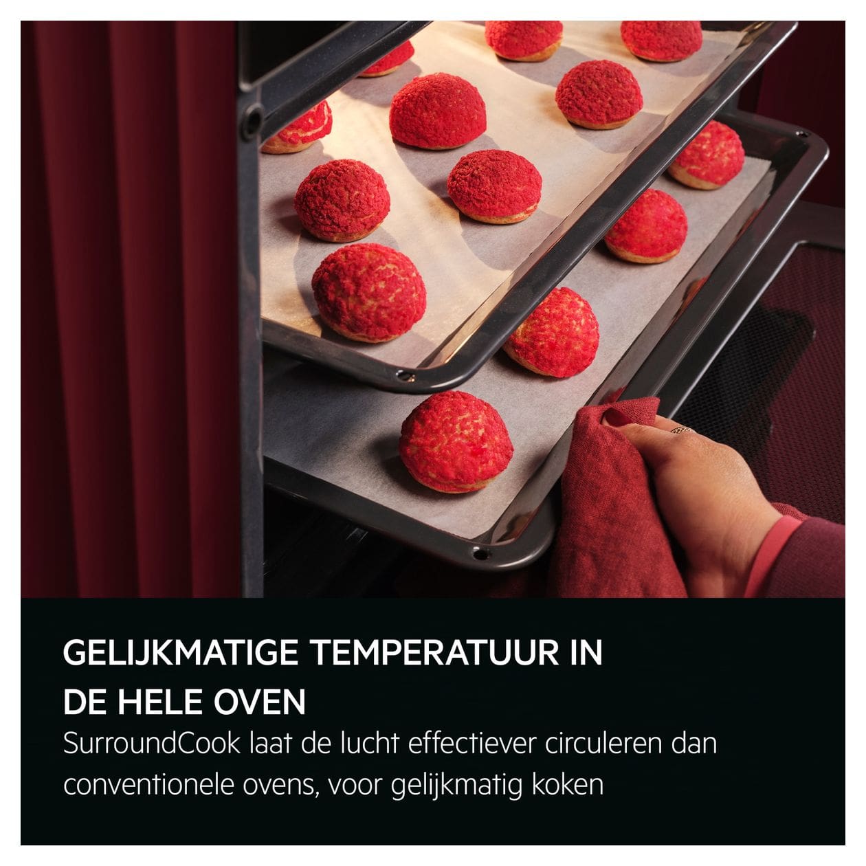 Serie 8000 TK8NK72FB Einbaubackofen kompakt Mikrowelle 