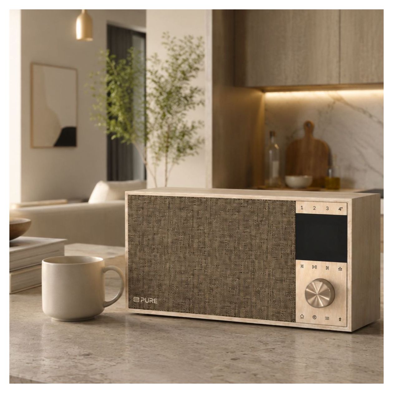 Evoke Home II Bluetooth DAB+, FM Radio Internet  (Birke) 