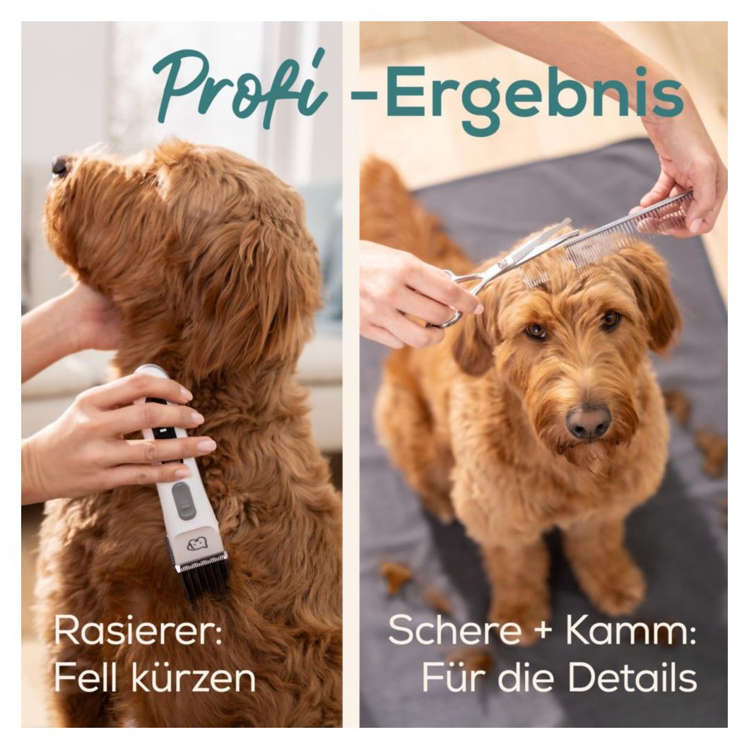 PP110 Fluffy Hundeschermaschine 