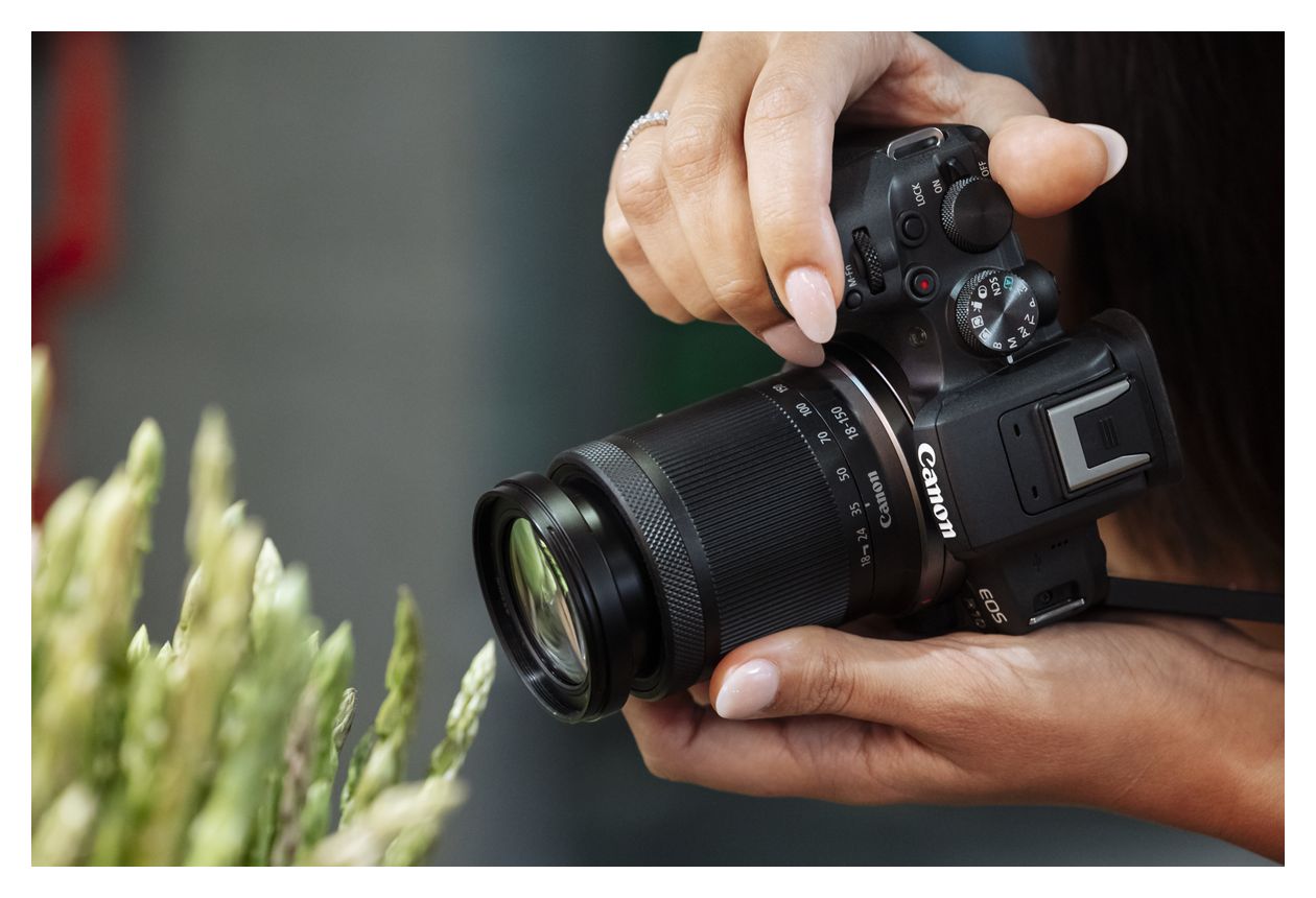 RF-S 18-150 mm f3.5-6.3 IS STM 