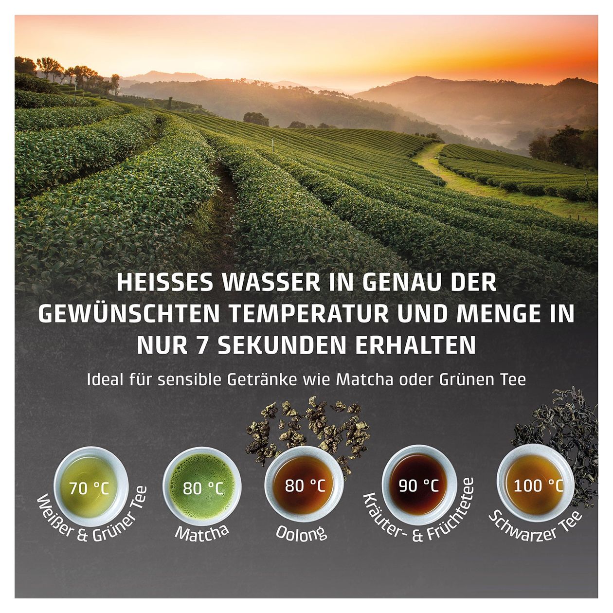 HW630 Teemaschine  (Schwarz, Edelstahl) 