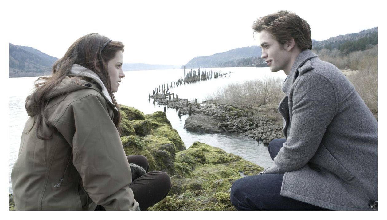 Die Twilight-Saga Film Collection (DVD) 