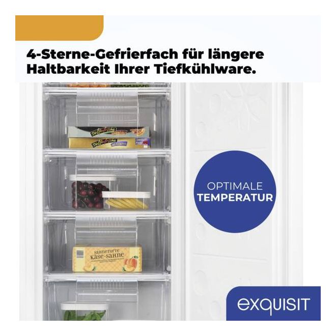 GS230-H-050C 177 l Gefrierschrank 123 kWh Jahr  (Weiß) 