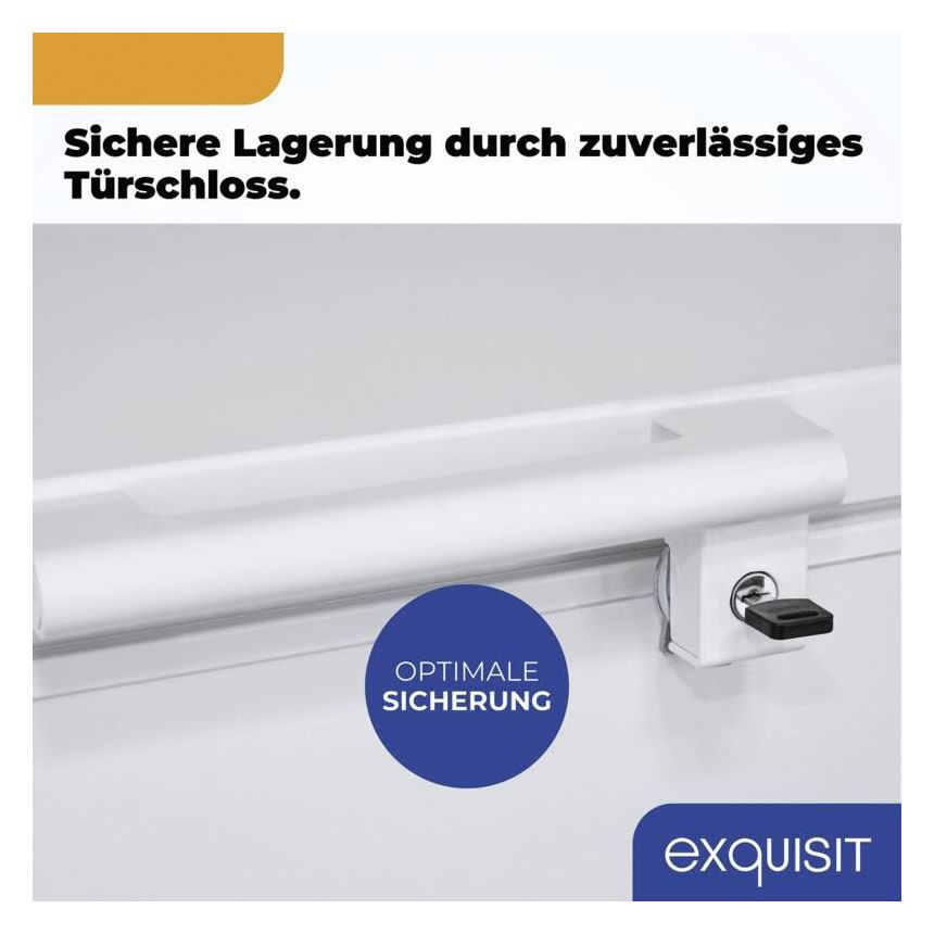 GT250-HE-040D Tiefkühltruhe Freistehend 172 kWh Jahr 