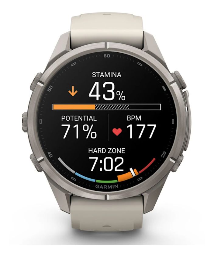 Fenix 9 Pro 43 mm Smartwatch Rund  (Titan) 