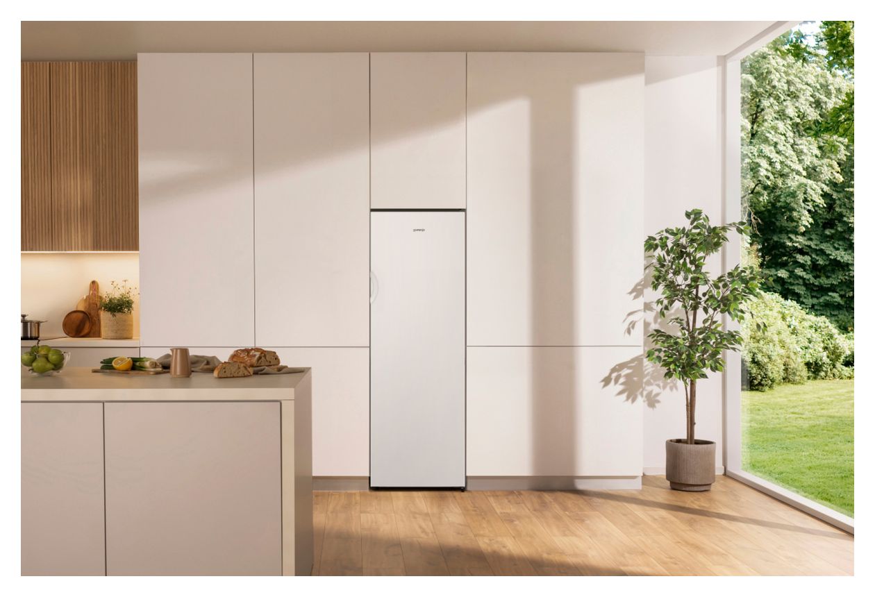 FN4172CW 194 l Gefrierschrank 219 kWh Jahr NoFrost  (Weiß) 