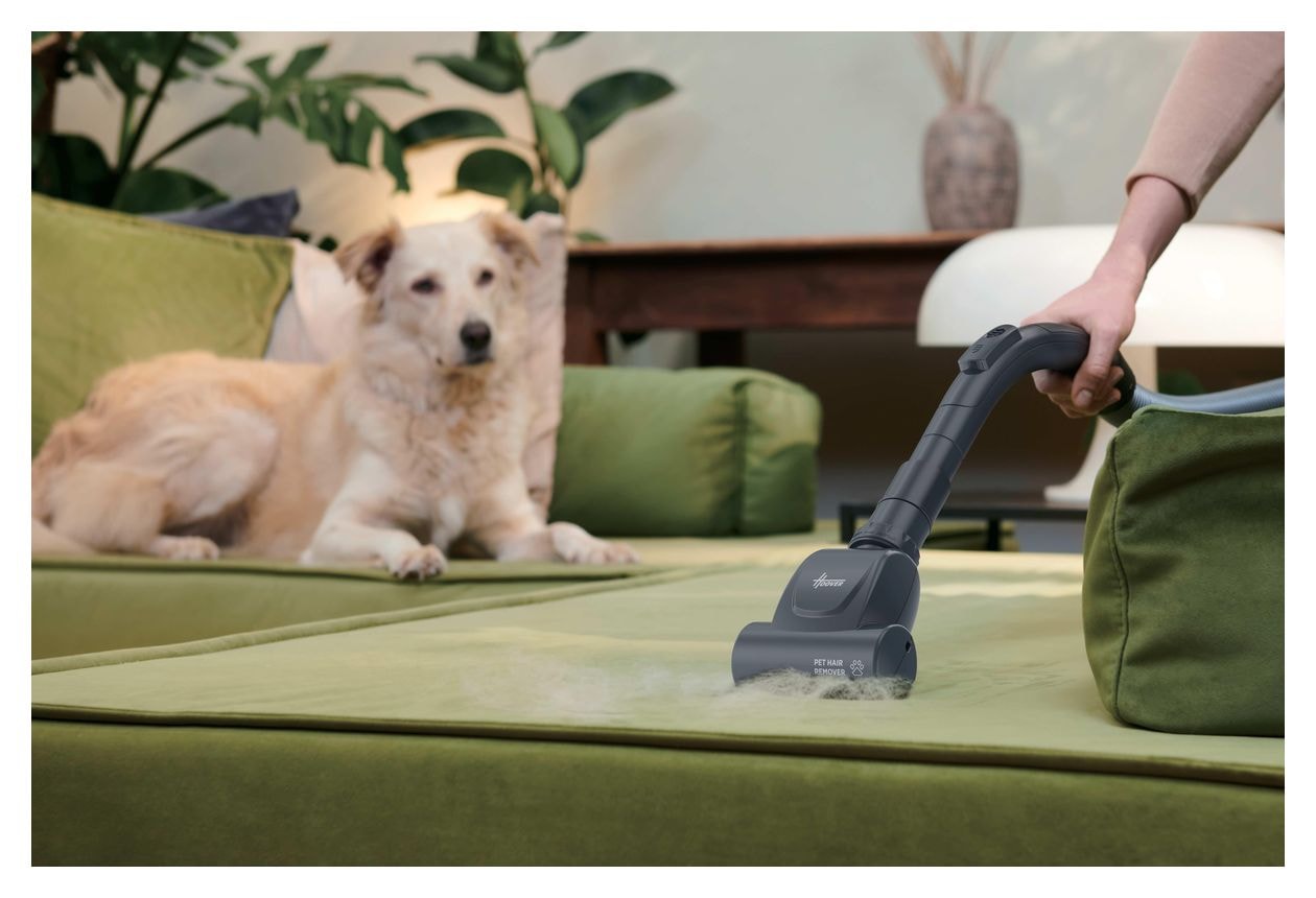 BR71_BR30 Bodenstaubsauger Beutellos 700 W EPA  (Schwarz) 