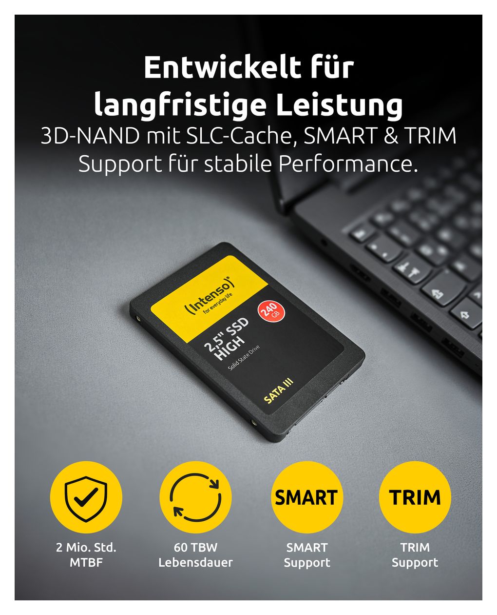 Performance 120 GB SSD Serial ATA III 2.5"  (Schwarz) 