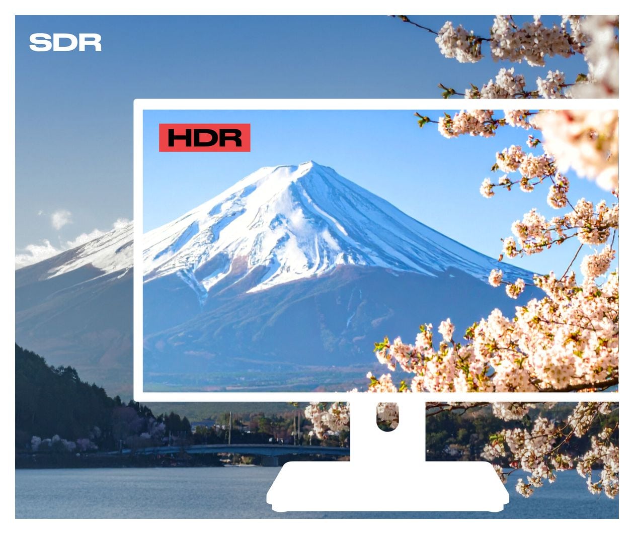 JN-IPS2152FHDR-C65W-FLD-T Full HD Monitor 54,6 cm (21.5 Zoll) 16:9 8 ms 250 cd/m²  (Grau) 