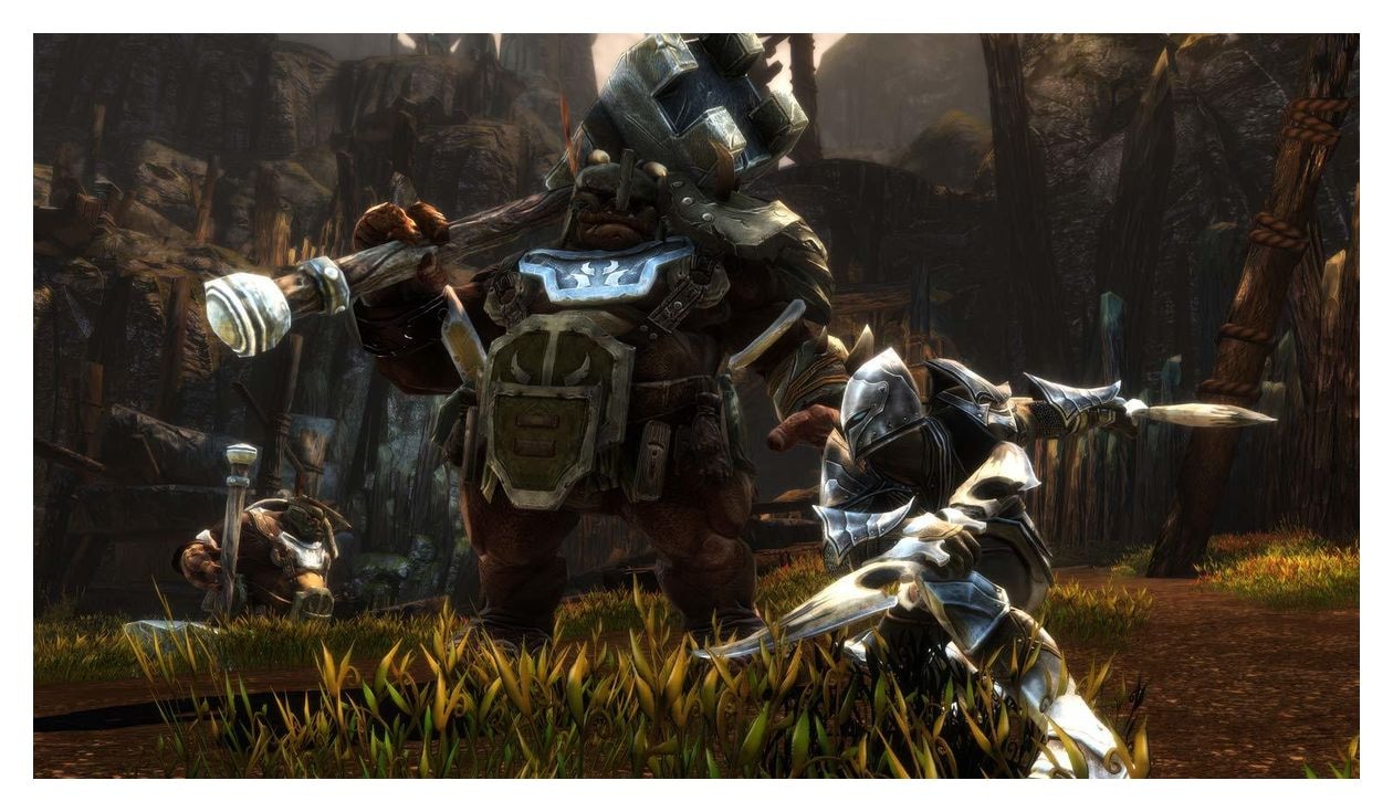 Kingdoms of Amalur Re-Reckoning (Nintendo Switch) 