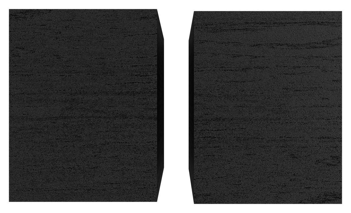 R-40PM Bluetooth Lautsprecher  (Schwarz) 