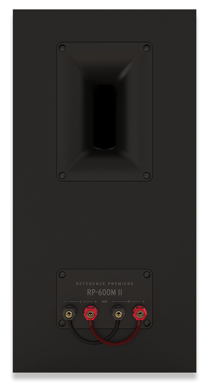 RP-600M II 100 W 2-Wege Lautsprecher  (Schwarz) 