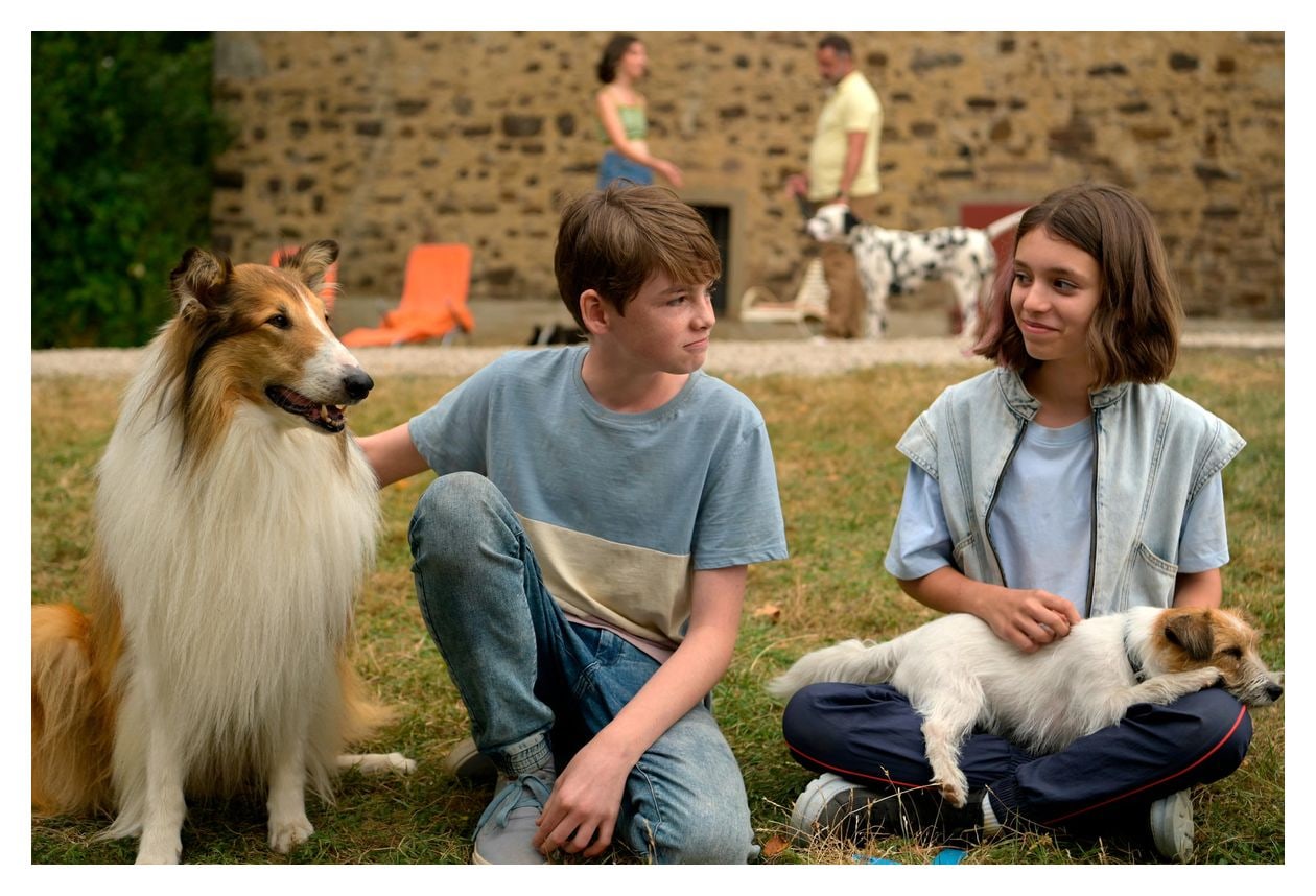 Lassie - Ein neues Abenteuer (DVD) 