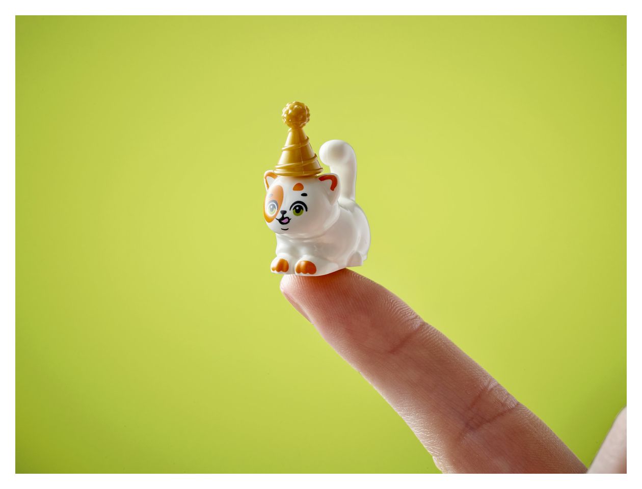 Katzengeburtstagsparty & Baumhaus 