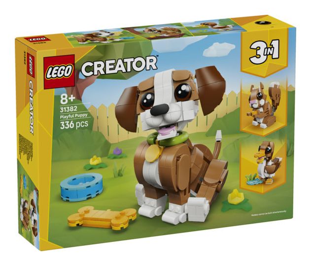 Niedliche Tiere: Verspielter Welpe 