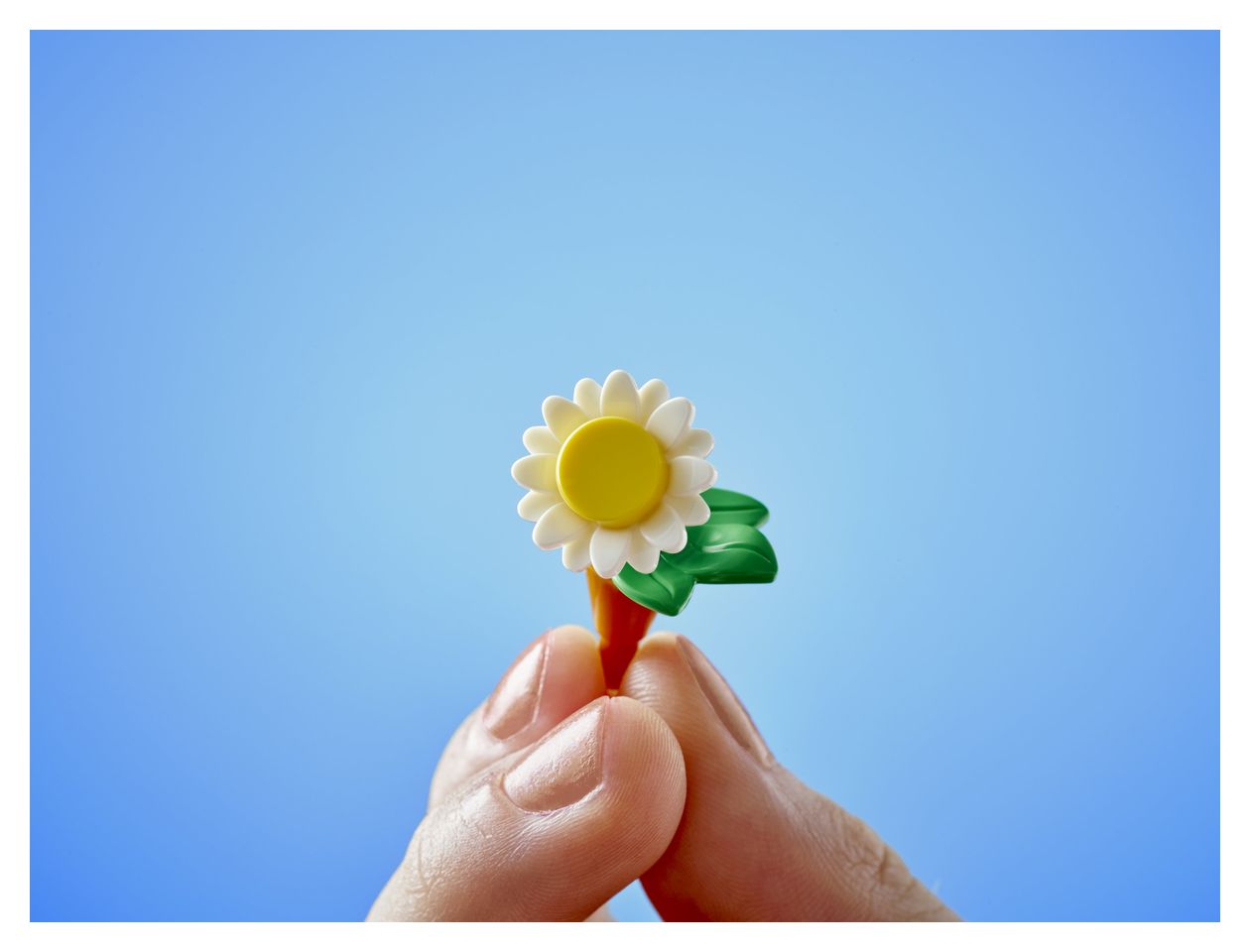 Pflanzencafé und Blumenkiosk 