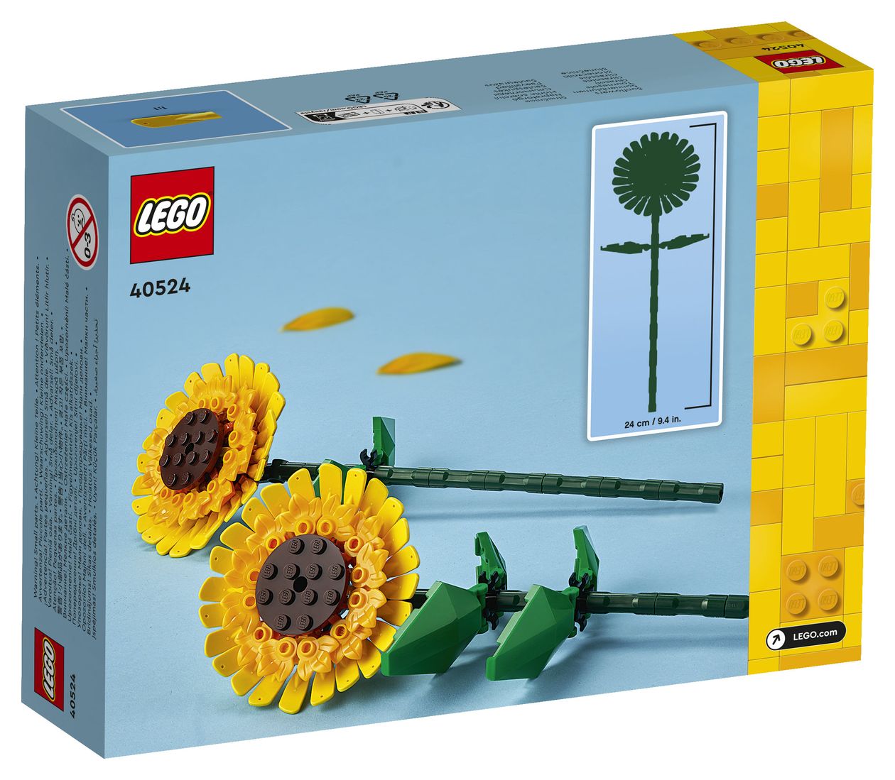 Sonnenblumen 