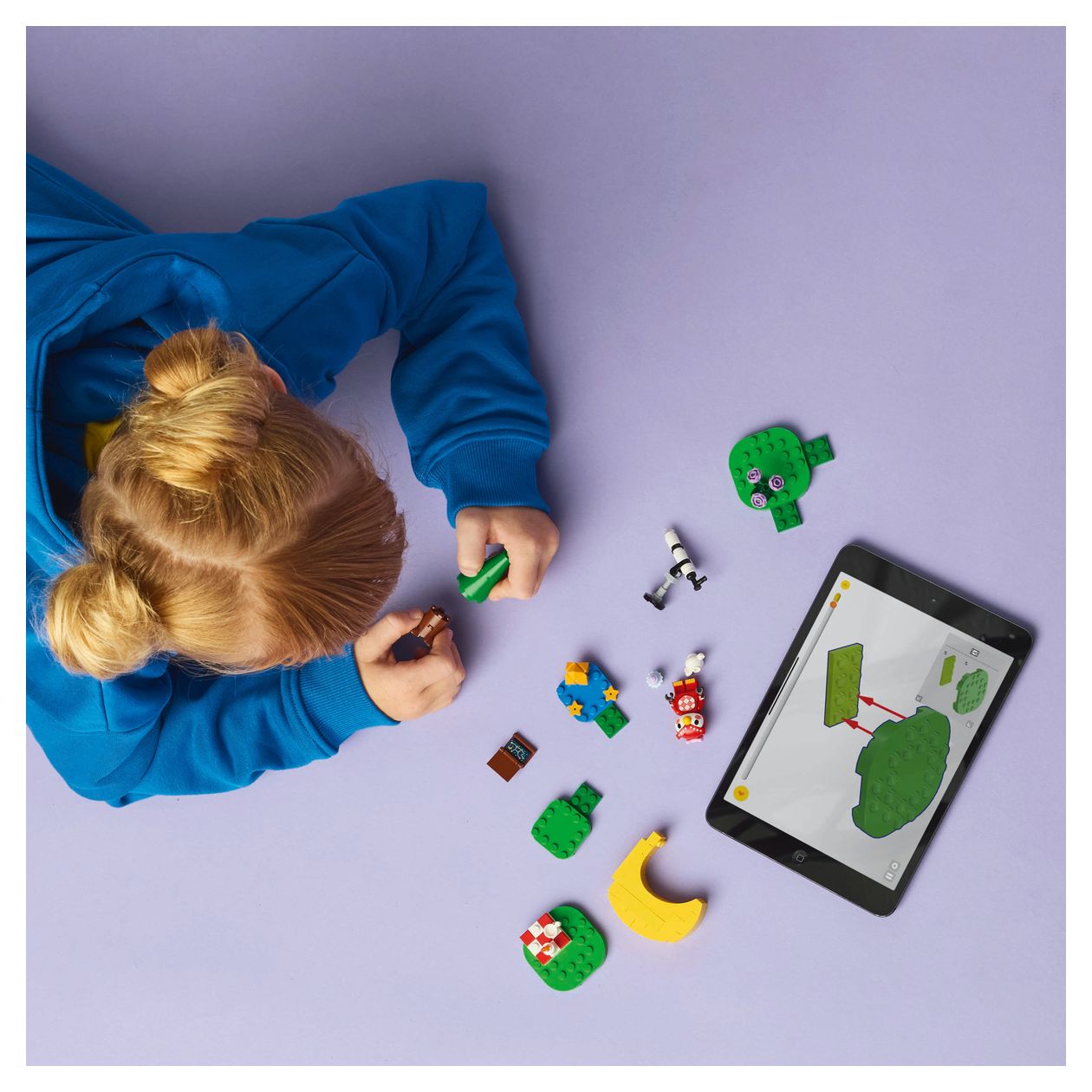 Sternbeobachtung mit Eufemia 