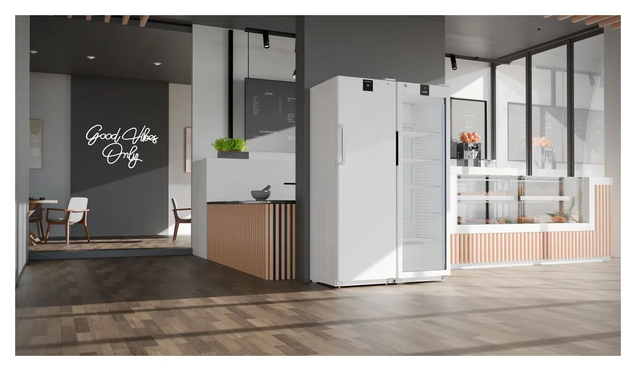 BFFsg4001 Performance 248 l / Kühlschrank freistehend 1022 kWh Jahr  (Weiß) 
