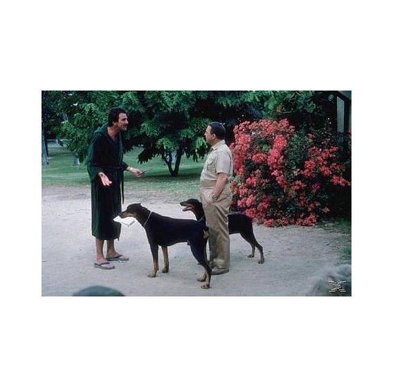 Magnum - Die komplette Serie (Staffel 1-8) (DVD) 