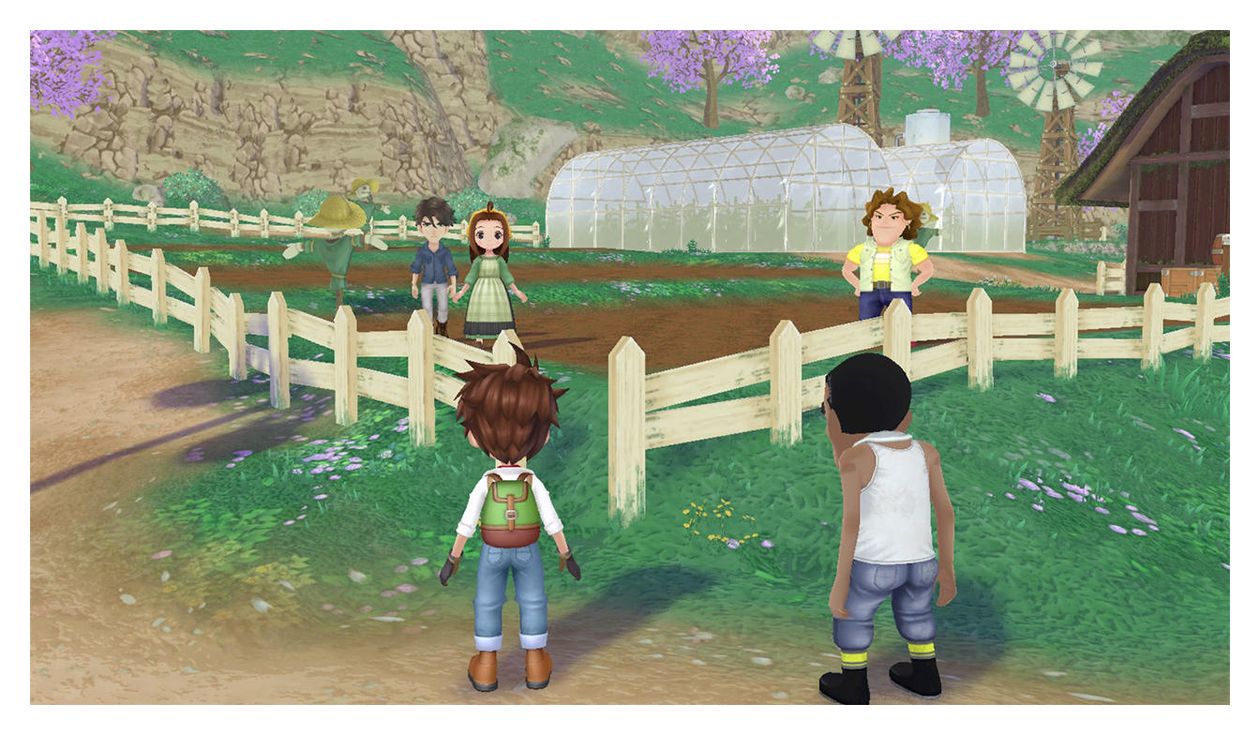 Story of Seasons: A Wonderful Life (Nintendo Switch) 