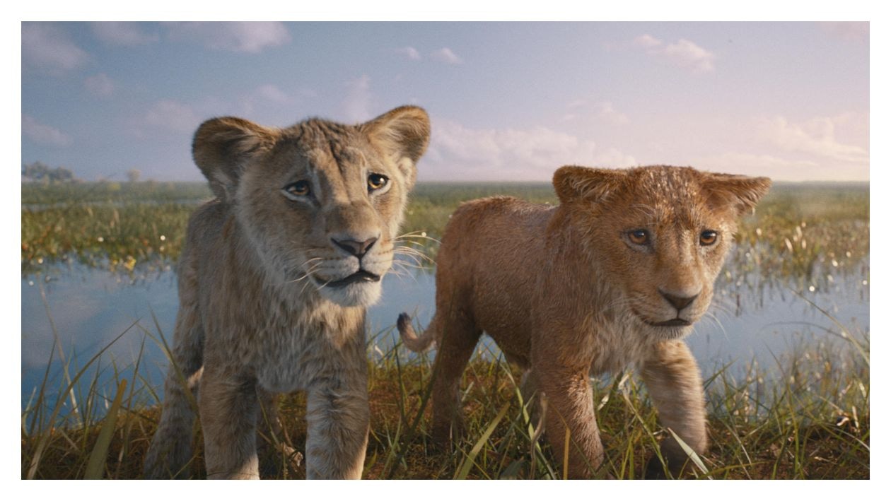 Mufasa: Der König der Löwen (DVD) 