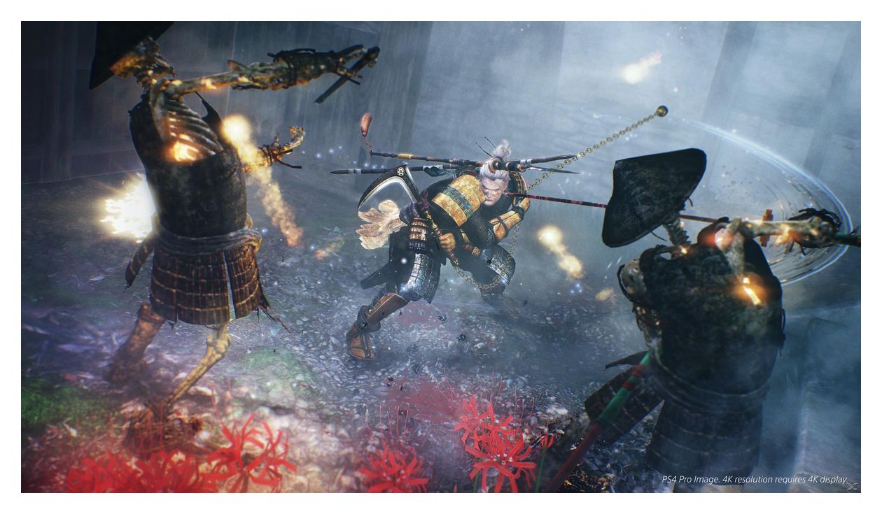 PlayStation Hits: Nioh (PlayStation 4) 