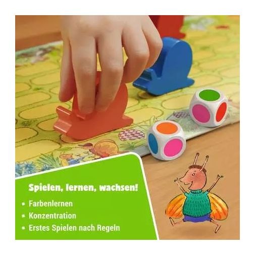 Tempo, kleine Schnecke! 