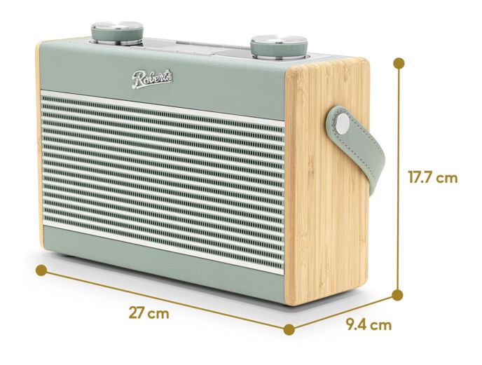 Rambler Max Bluetooth DAB, DAB+, FM Radio Tragbar  (Grün) 