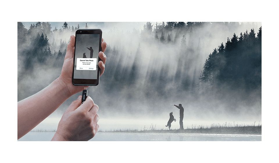 Ultra Dual Drive Go USB Type-A / USB Type-C Stick 256 GB  (Schwarz) 