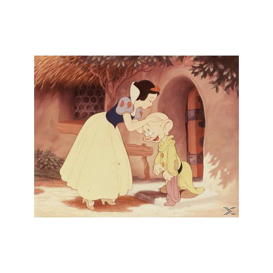 Schneewittchen und die sieben Zwerge (DVD) 